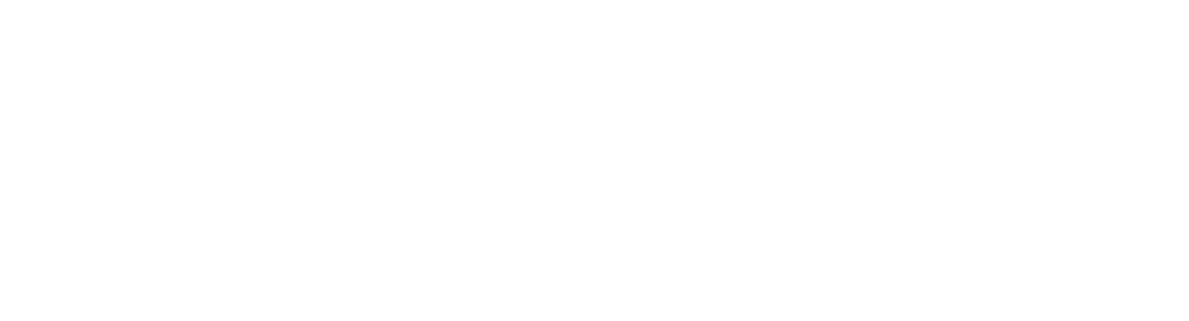 VerdaLynx logo
